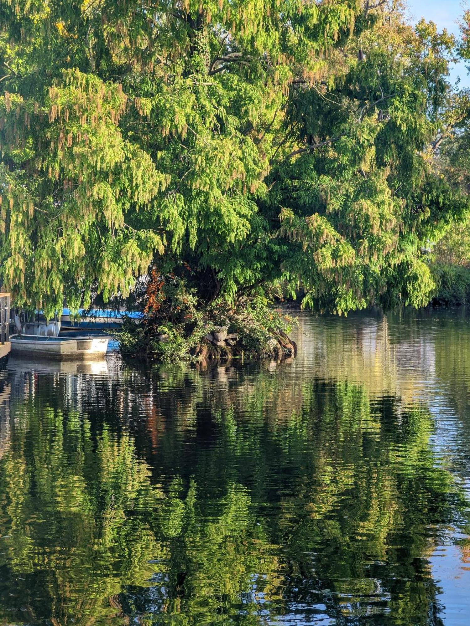 Tulana Taggs - Floating Home On Idyllic Island Hampton Hill Bagian luar foto